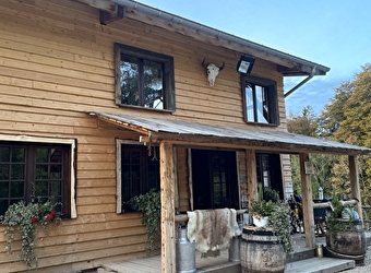 Buffalo Saloon - DAMPRICHARD