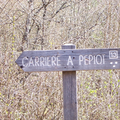 La Guerre des Boutons