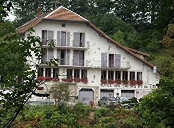 Hôtel-restaurant des Sapins et du Lac - OYE-ET-PALLET