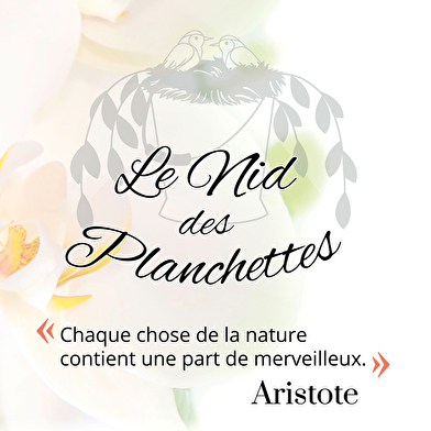Le Nid des Planchettes