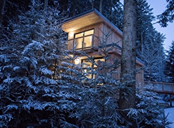 Le Domaine de l'Authentique - Les Cabanes Perchées - FOURNET-BLANCHEROCHE