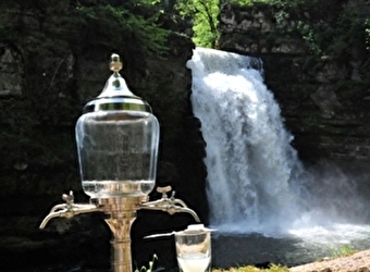 L'Absinthe - Restaurant du Saut du Doubs - VILLERS-LE-LAC