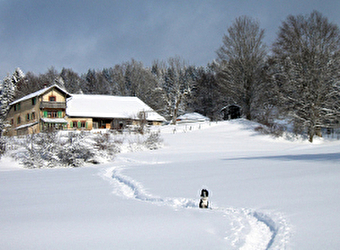 Restaurant la Petite Échelle - ROCHEJEAN