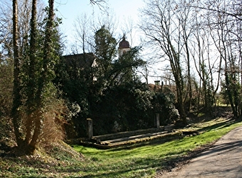 Les Vignes - BUFFARD